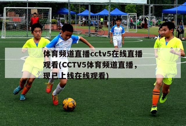 体育频道直播cctv5在线直播观看(CCTV5体育频道直播，现已上线在线观看)