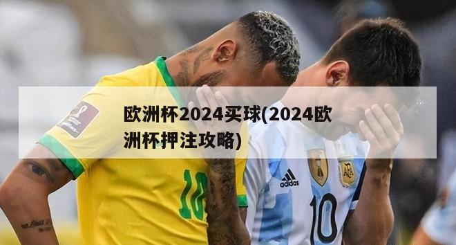 欧洲杯2024买球(2024欧洲杯押注攻略)