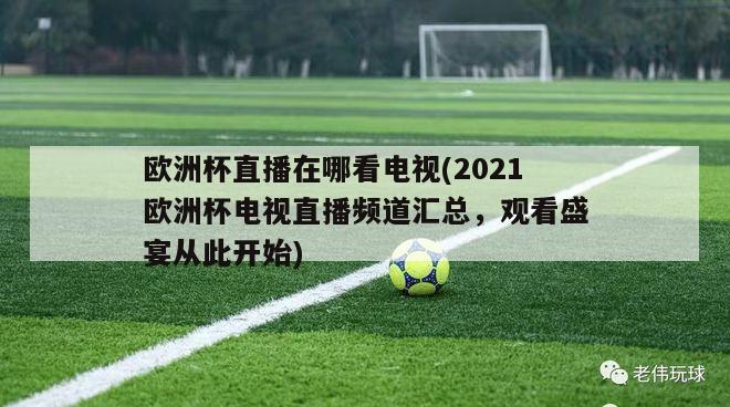 欧洲杯直播在哪看电视(2021欧洲杯电视直播频道汇总，观看盛宴从此开始)